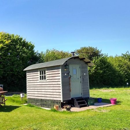 Shepherd'S Lodge - Shepherd'S Hut With Devon Views For Up To Two People And One Smaller Dog Wrangaton Екстер'єр фото